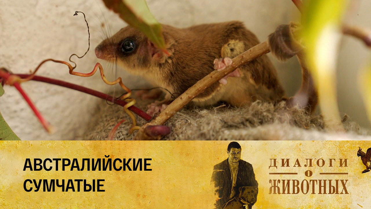 Минский зоопарк