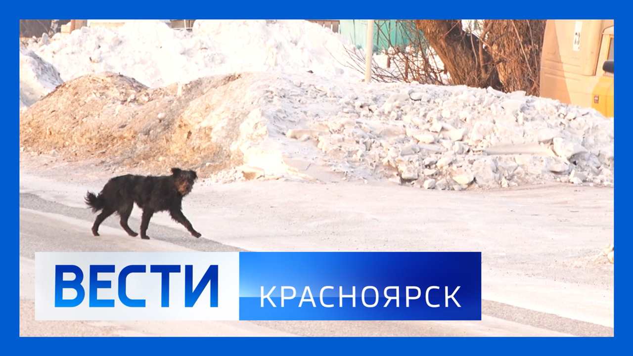 Эфир от 31.01.2024