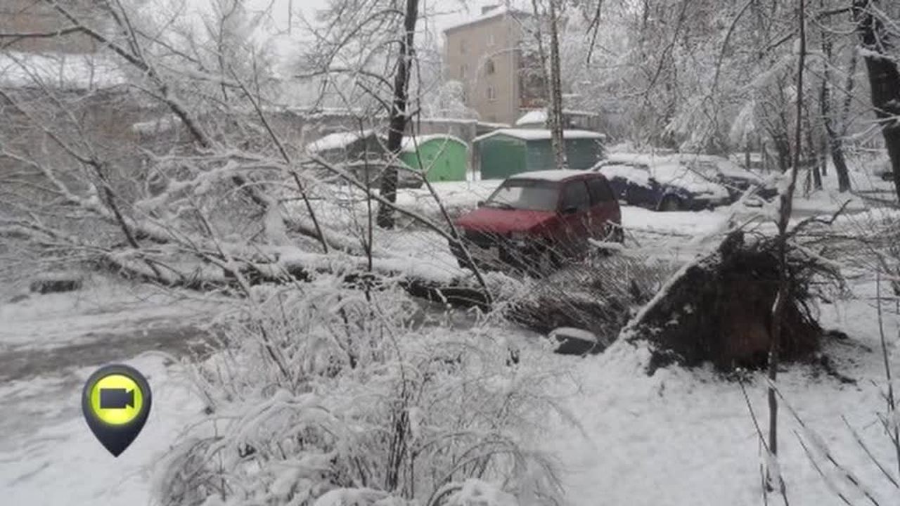 Эфир от 28.11.2013