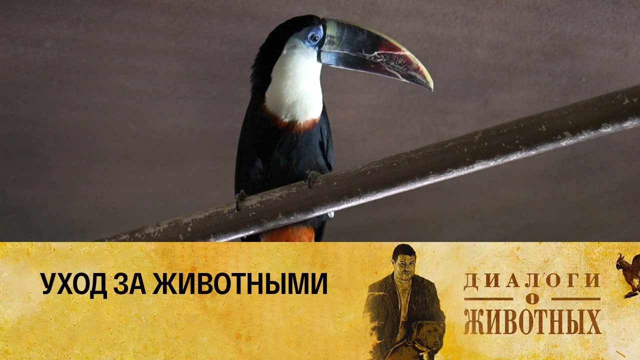 Минский зоопарк