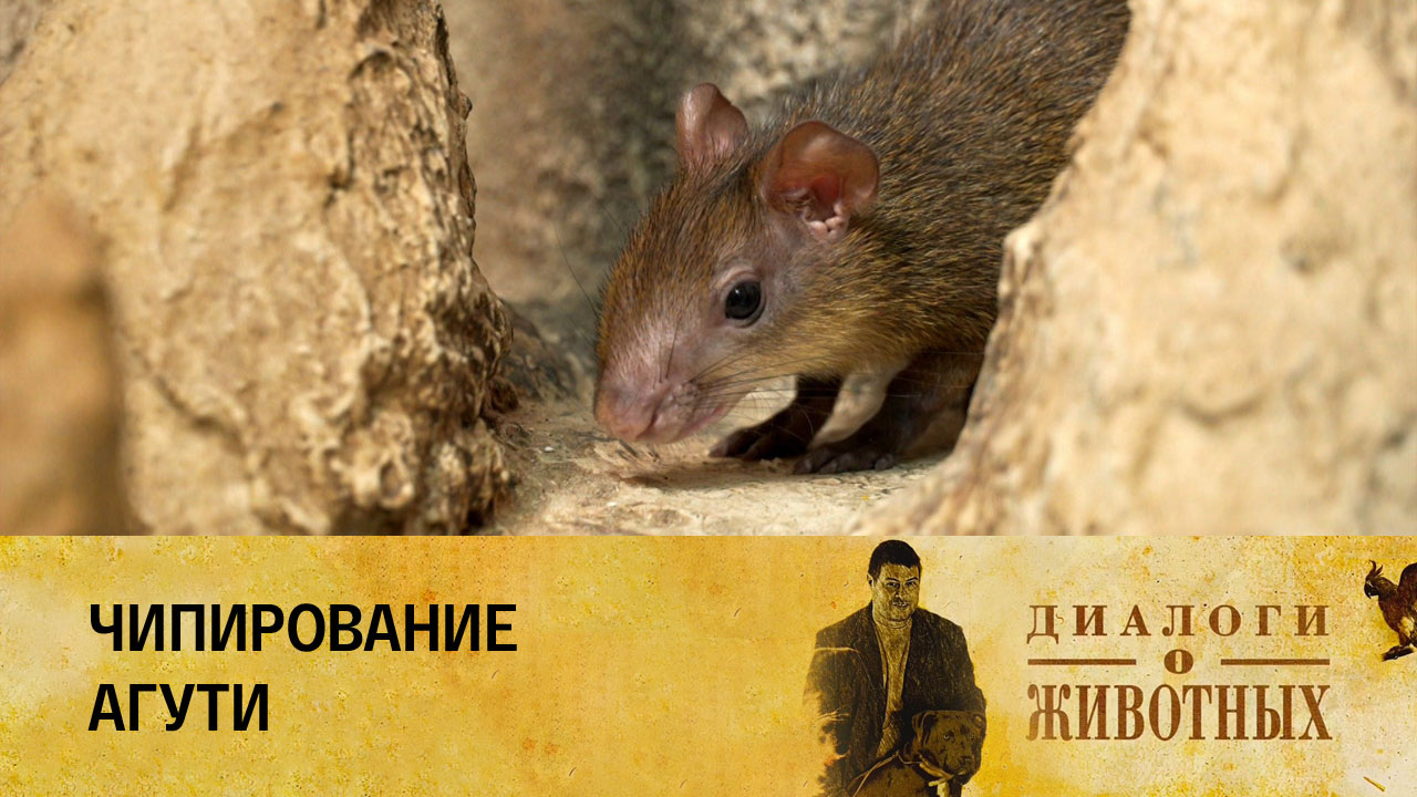Минский зоопарк