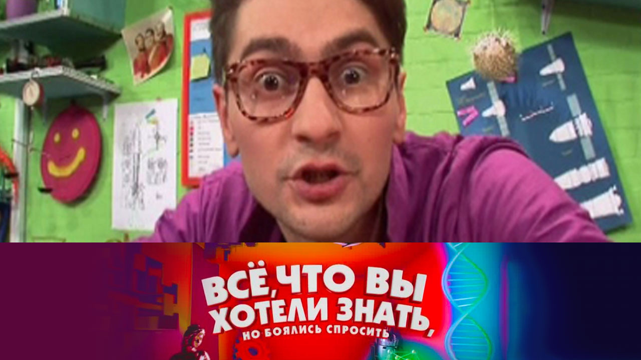 Почему люди говорят на разных языках