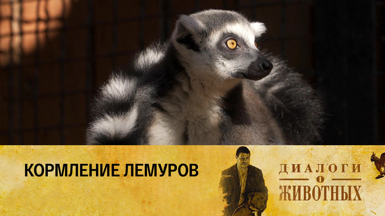 Минский зоопарк