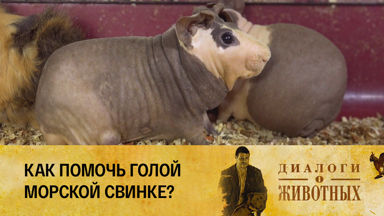 Минский зоопарк