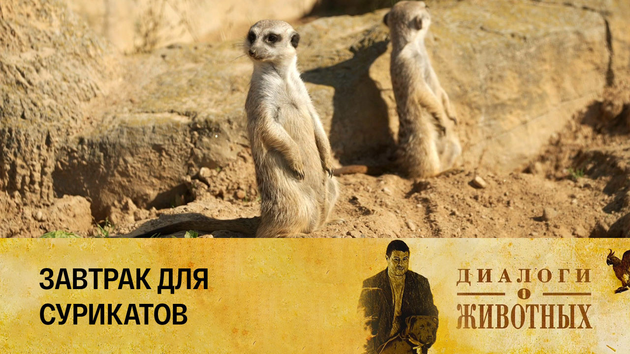 Минский зоопарк