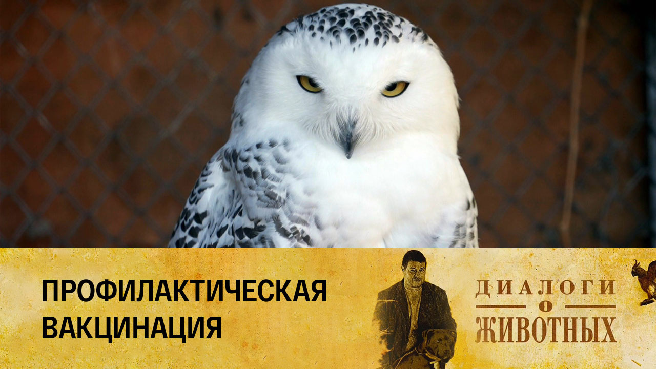 Минский зоопарк