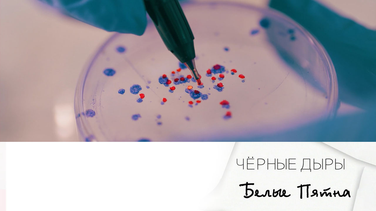 Эфир 23.03.2024
