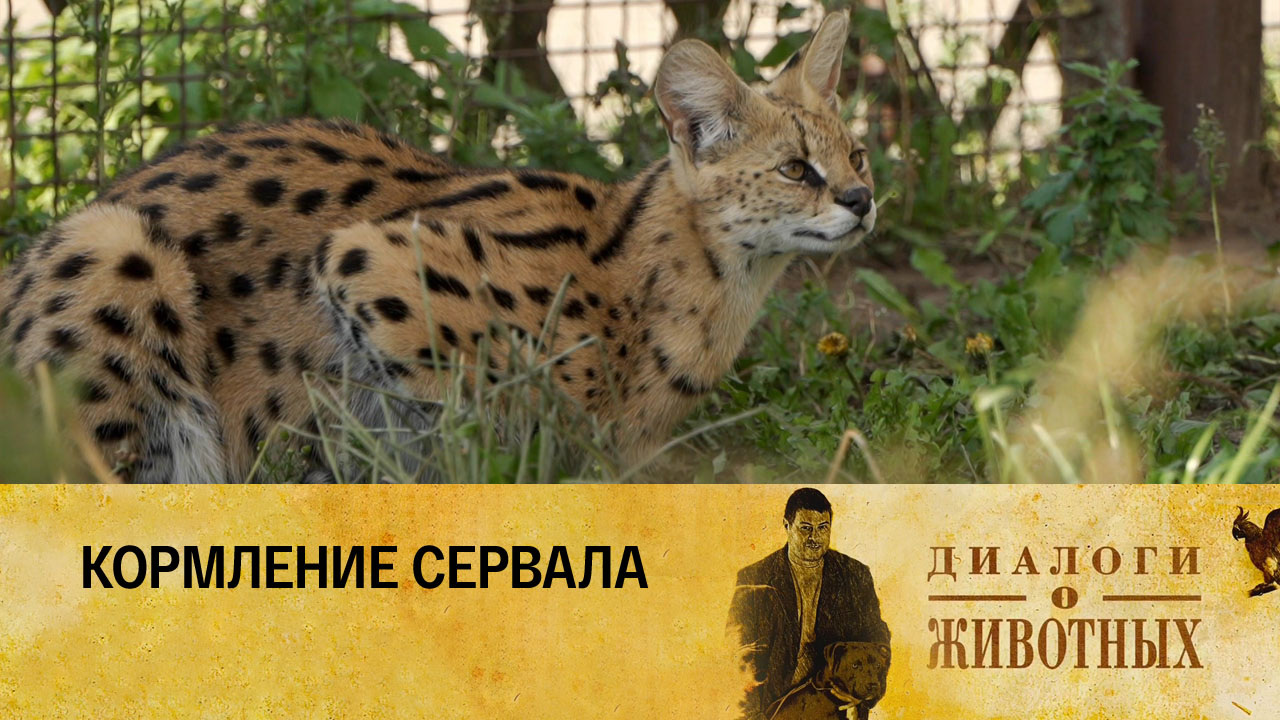 Минский зоопарк