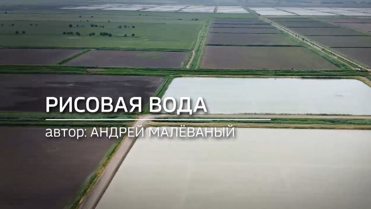 Рисовая вода