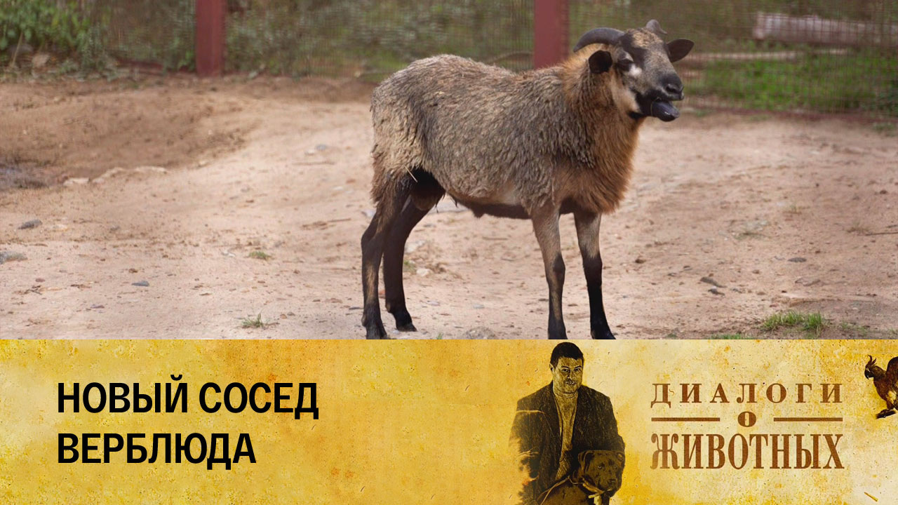 Минский зоопарк
