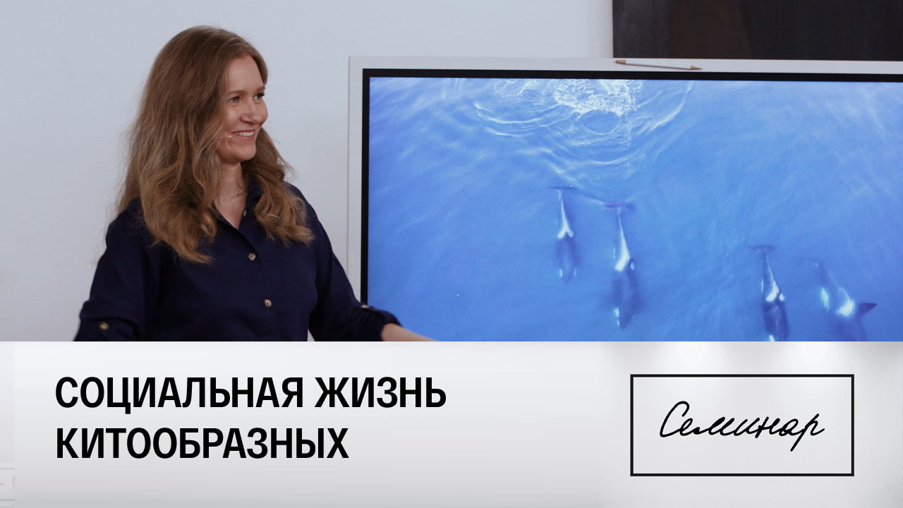 Татьяна Ивкович