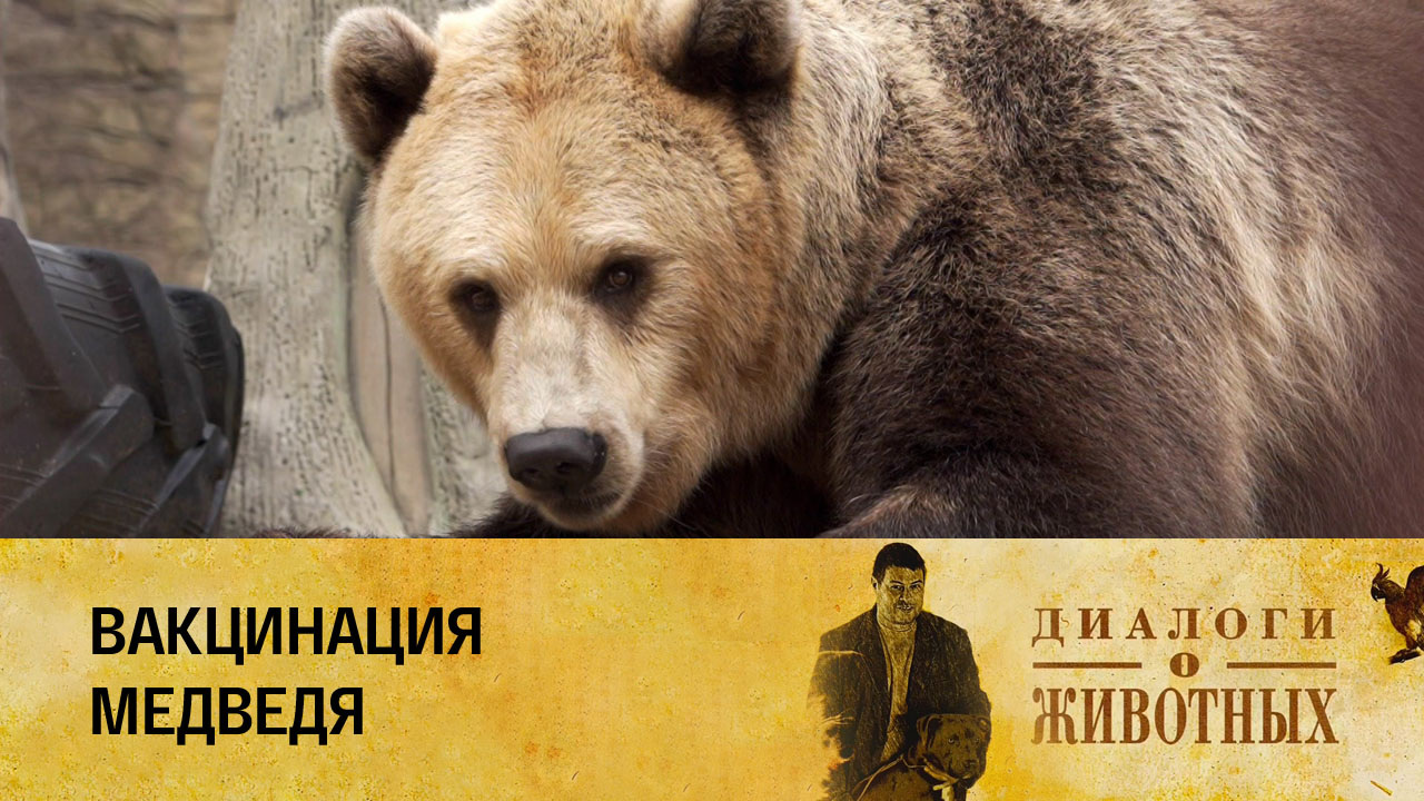 Минский зоопарк