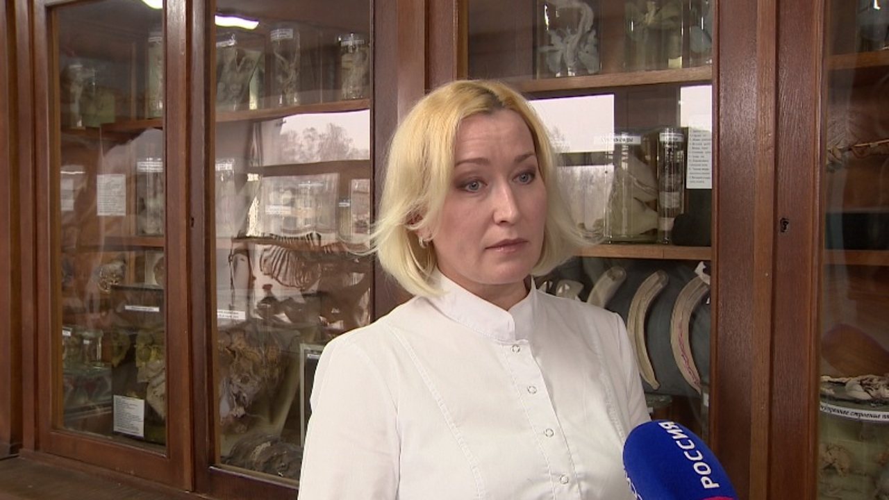 "Вести. Интервью": Лариса Глазунова