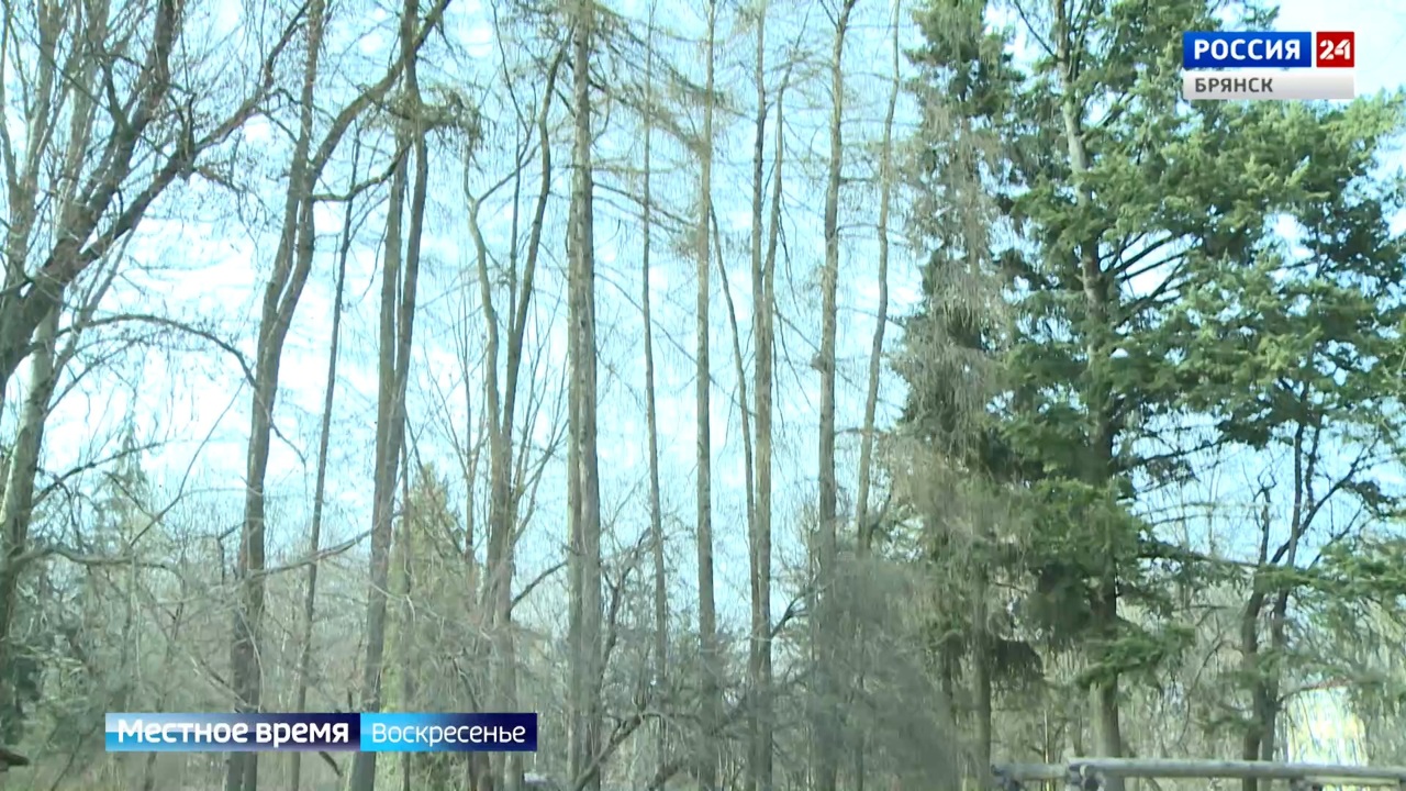 Эфир от 07.04.2024