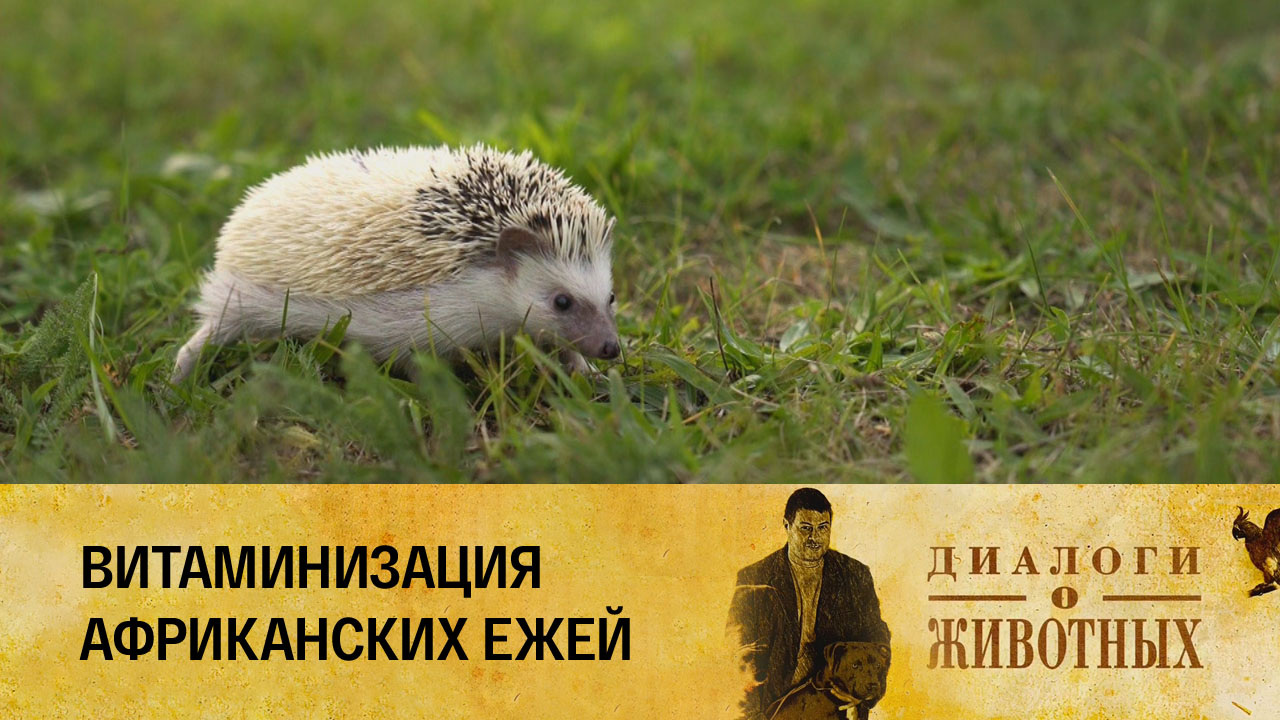 Минский зоопарк