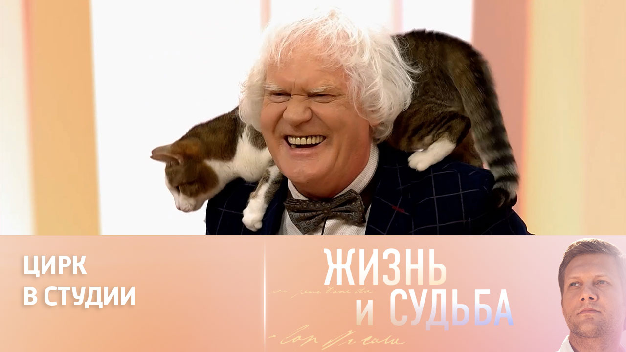 Юрий Куклачев устроил веселое представление с кошками в студии