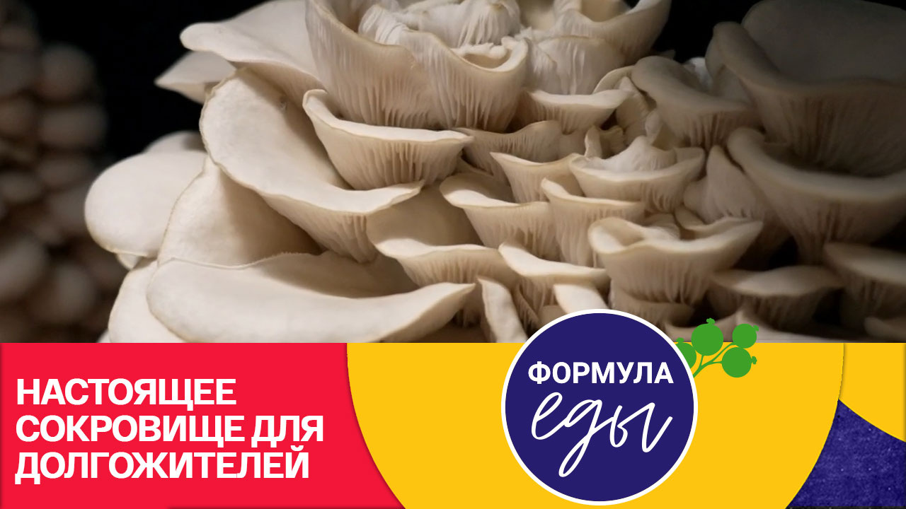 Какие грибы контролируют аппетит?