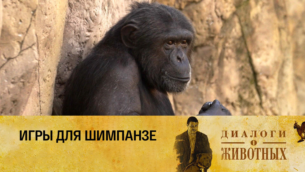 Минский зоопарк
