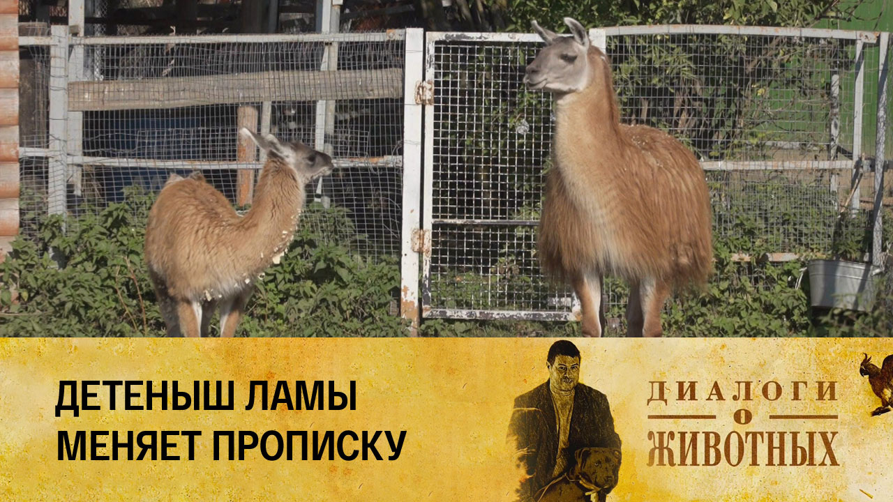 Минский зоопарк