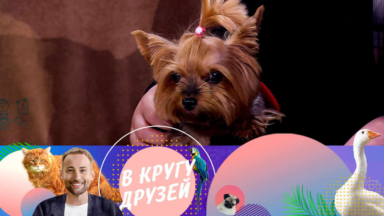 Эфир от 27.04.2024