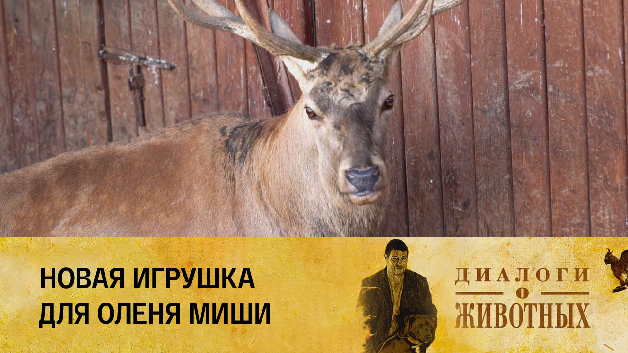 Минский зоопарк