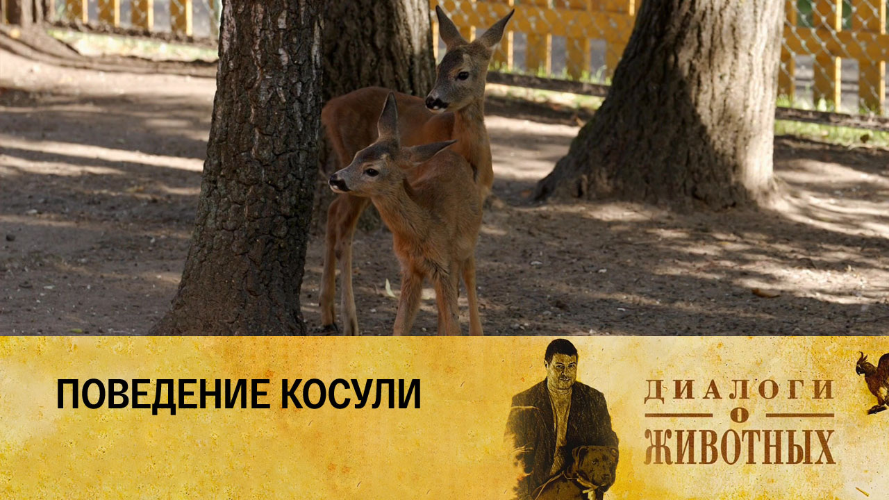 Минский зоопарк