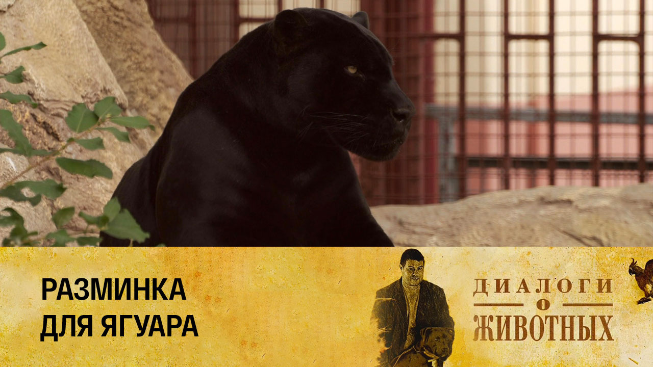 Минский зоопарк