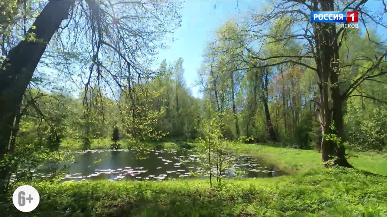 Дворянское гнездо. Стехново. Эфир 18.05.2024