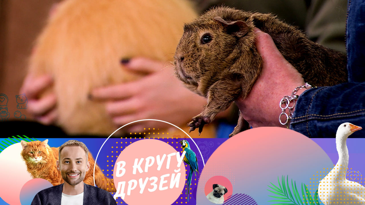 Эфир от 25.05.2024