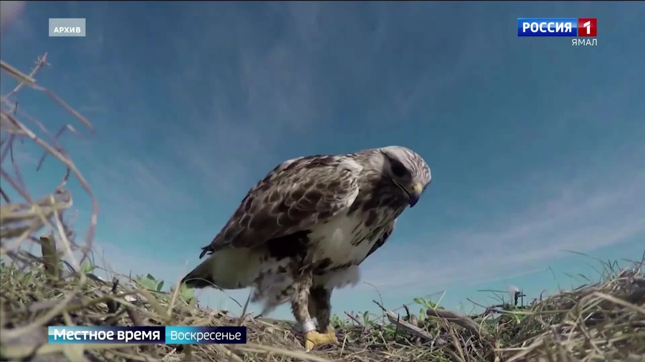 Эфир от 02.06.2024