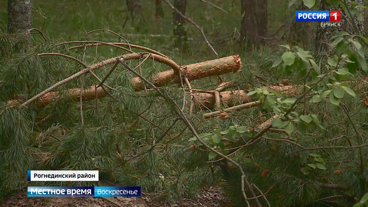 Эфир от 09.06.2024