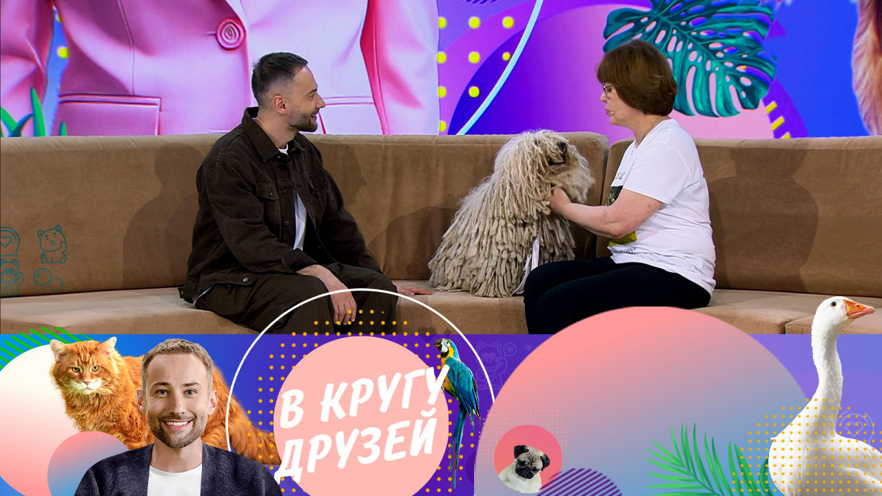 Эфир от 15.06.2024