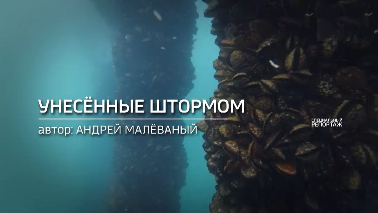 Унесенные штормом