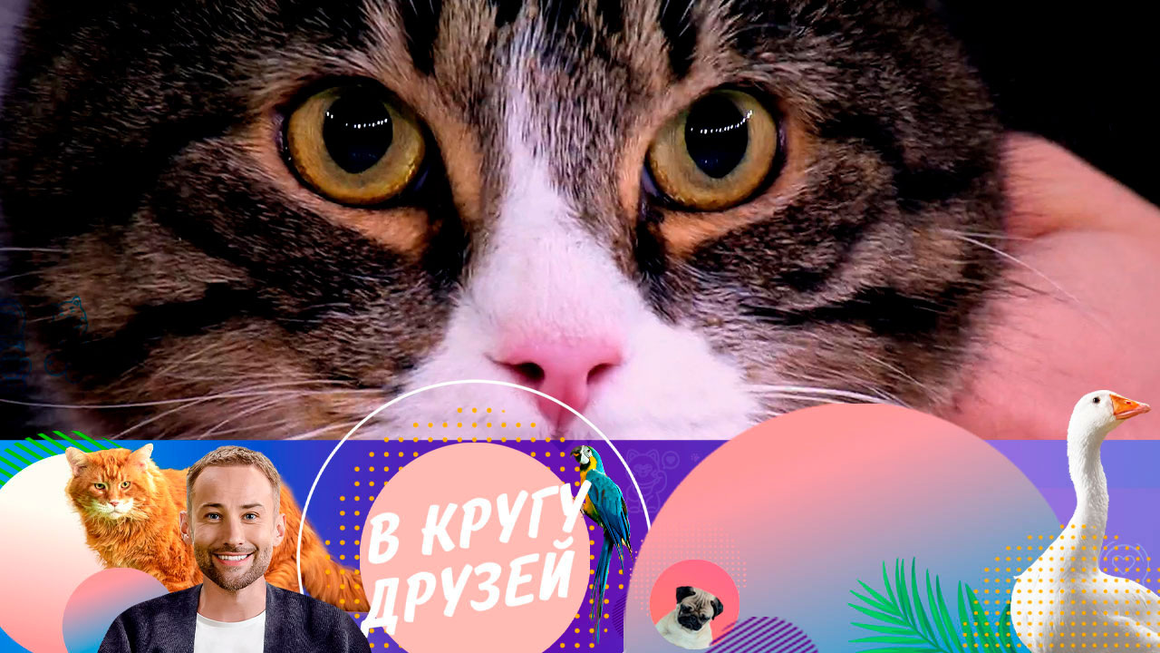 Эфир от 29.06.2024