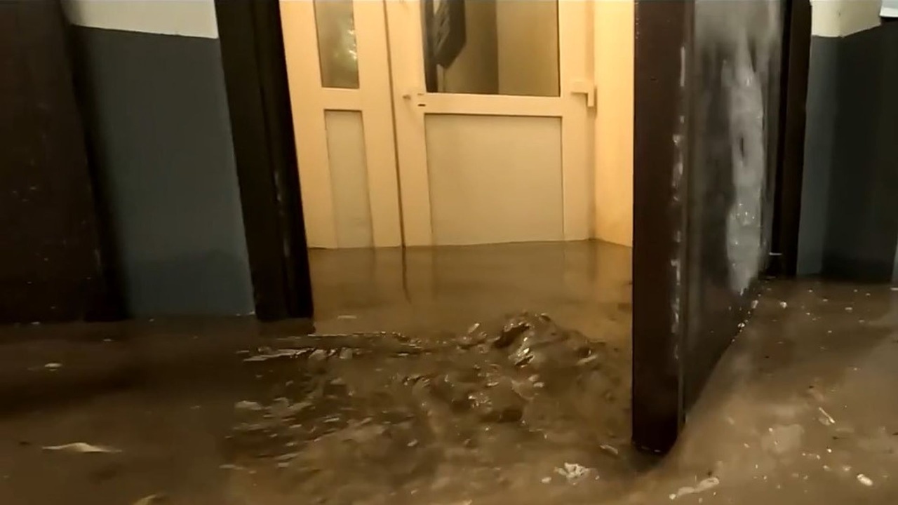 Эфир от 30.06.2024