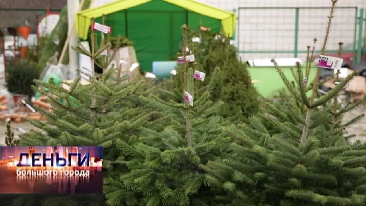 Эфир от 27.12.2013