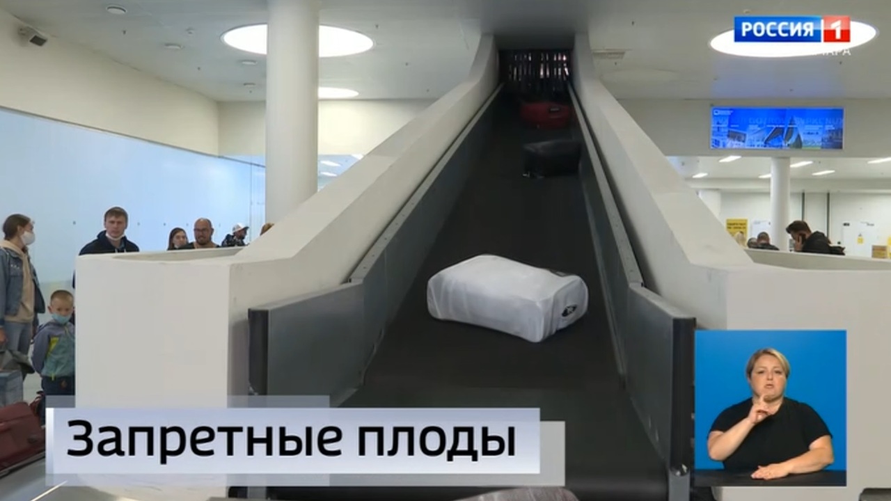 Эфир от 26.06.2024 (09:00)
