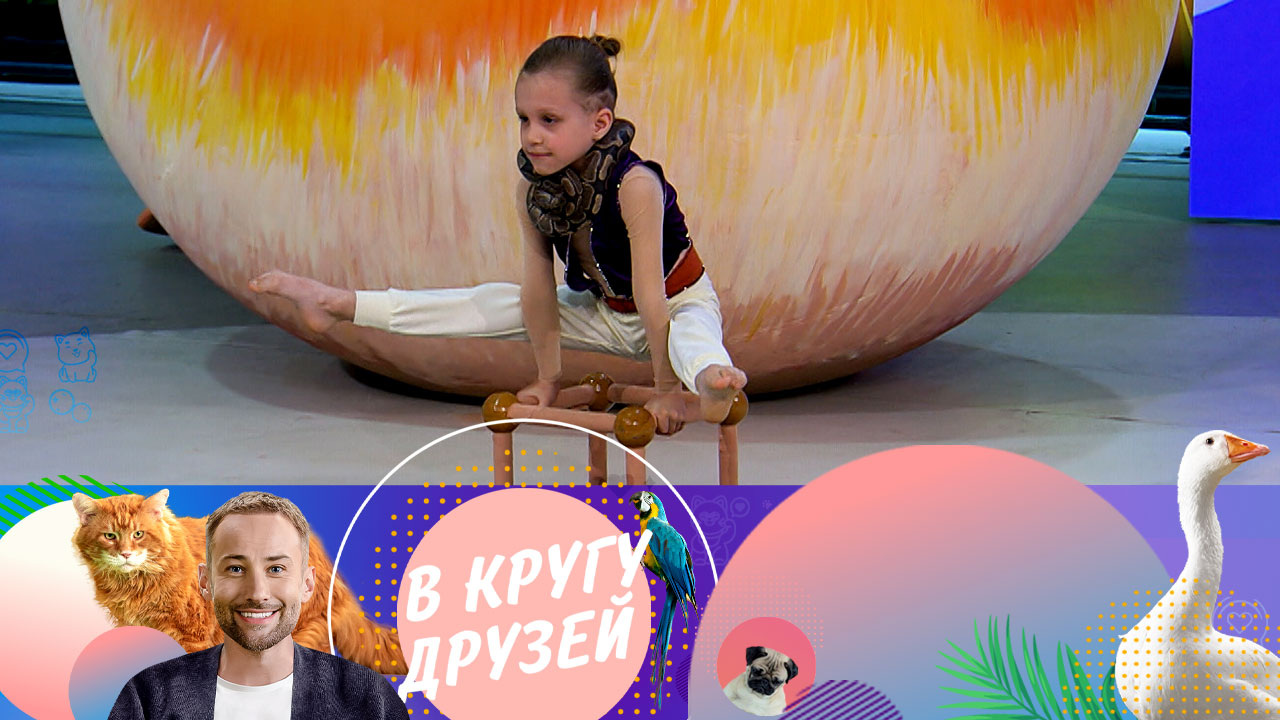 Эфир от 06.07.2024