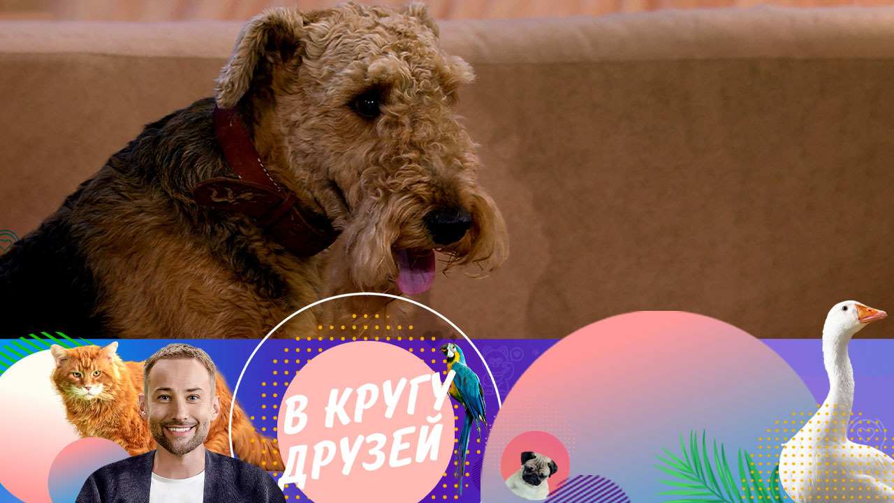 Эфир от 13.07.2024