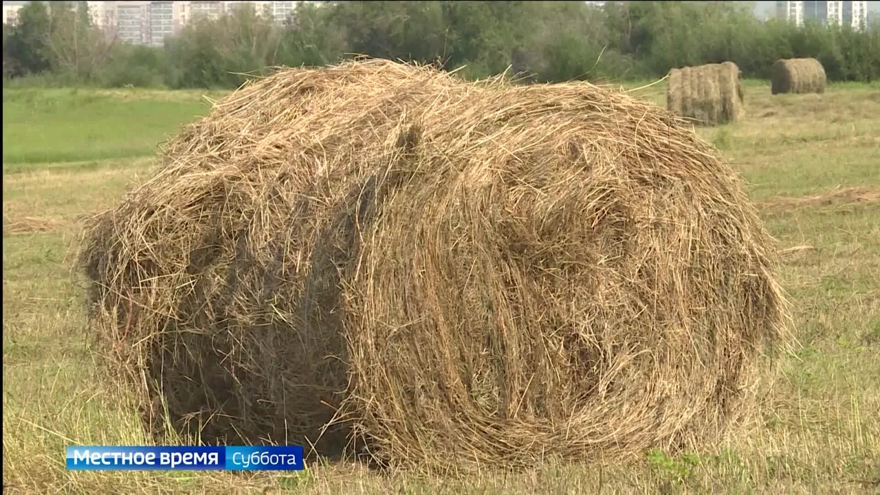 Эфир от 06.07.2024