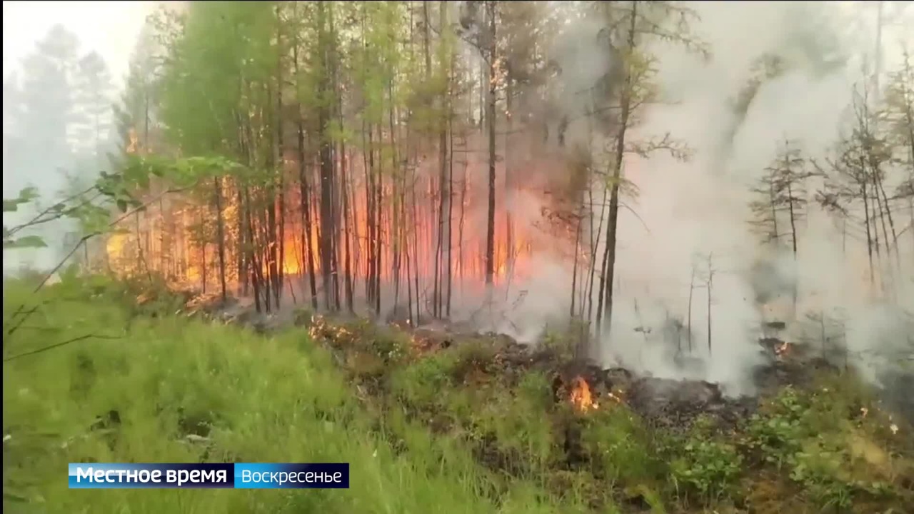 Эфир от 14.07.2024