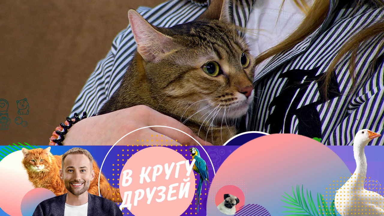 Эфир от 20.07.2024