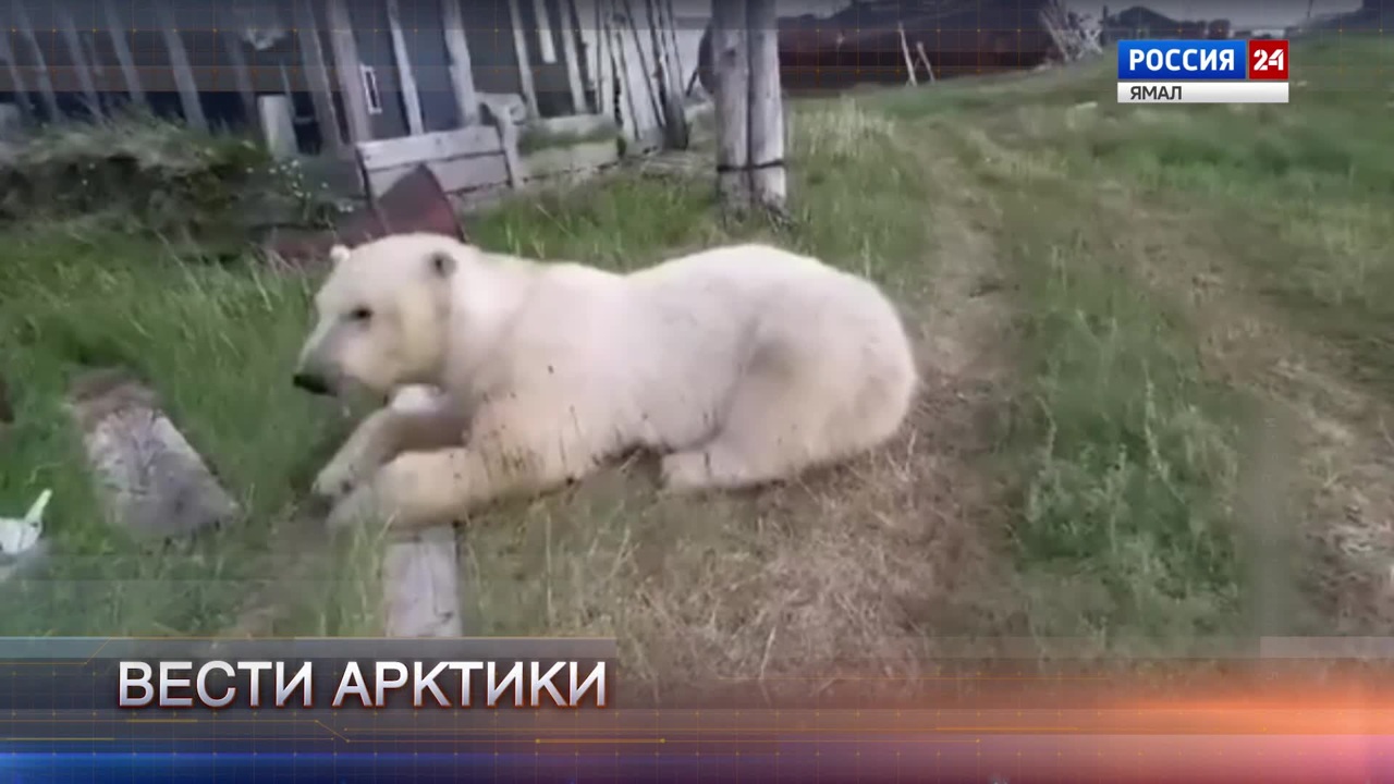 Эфир от 20.07.2024