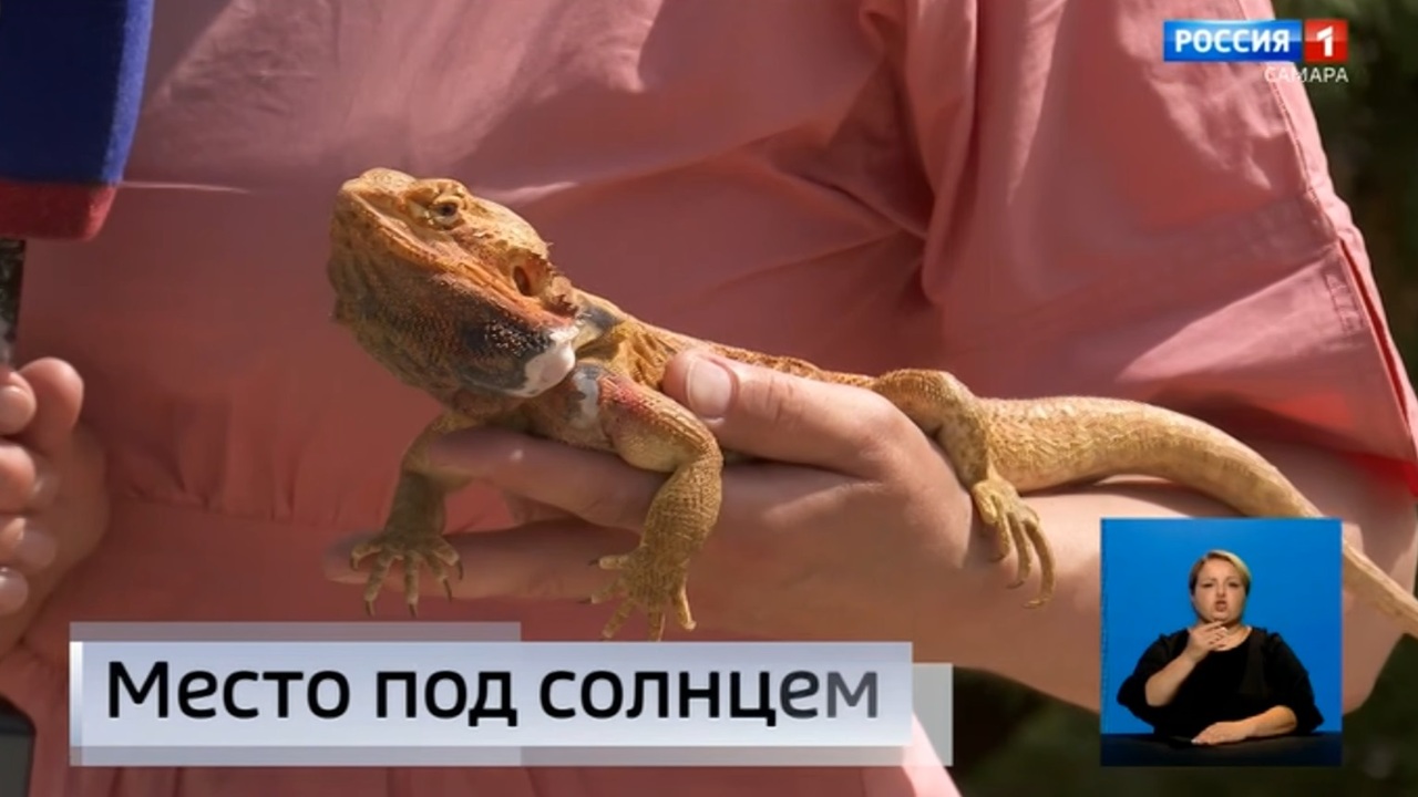 Эфир от 08.07.2024 (09:00)