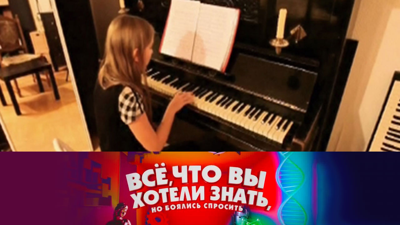 Как устроено фортепиано
