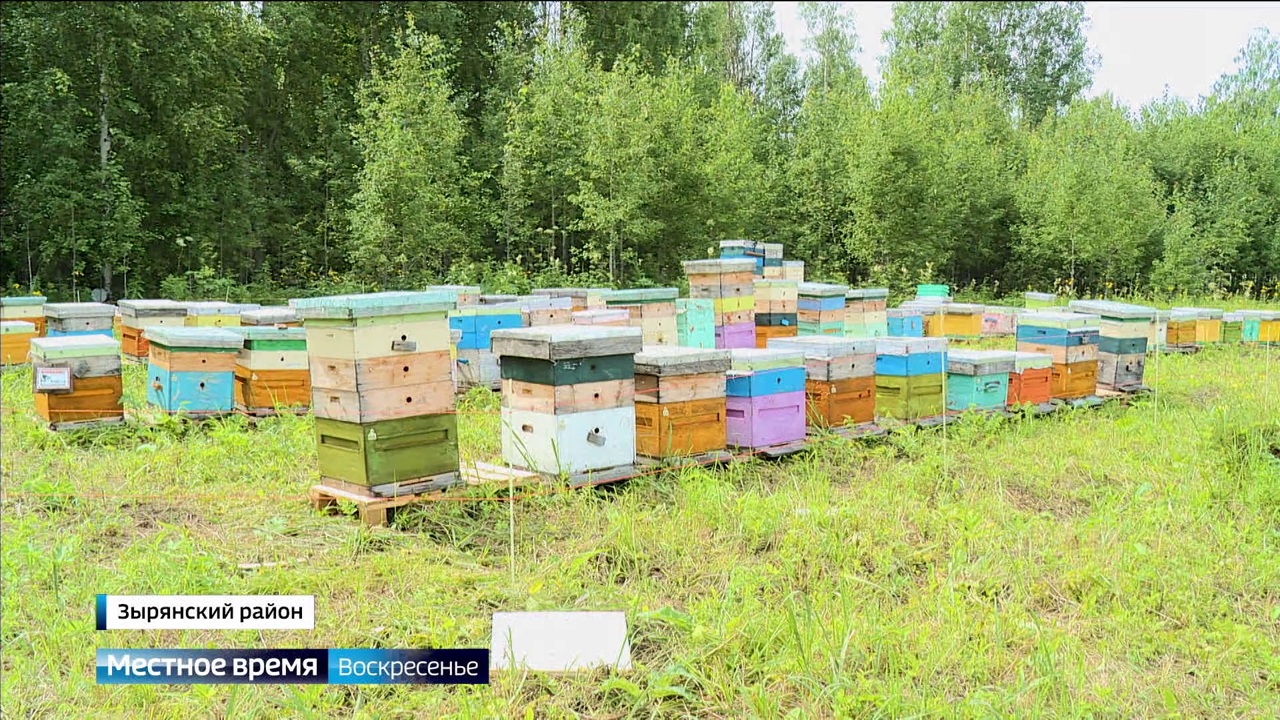 Эфир от 28.07.2024