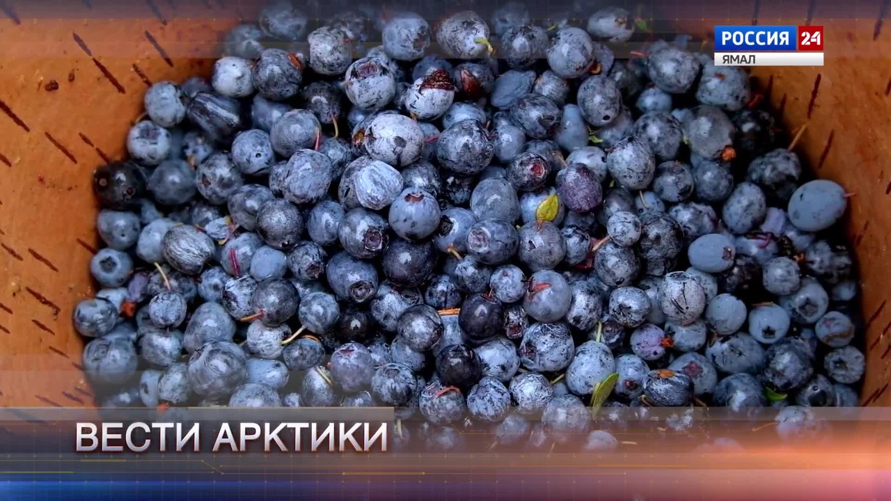 Эфир от 03.08.2024