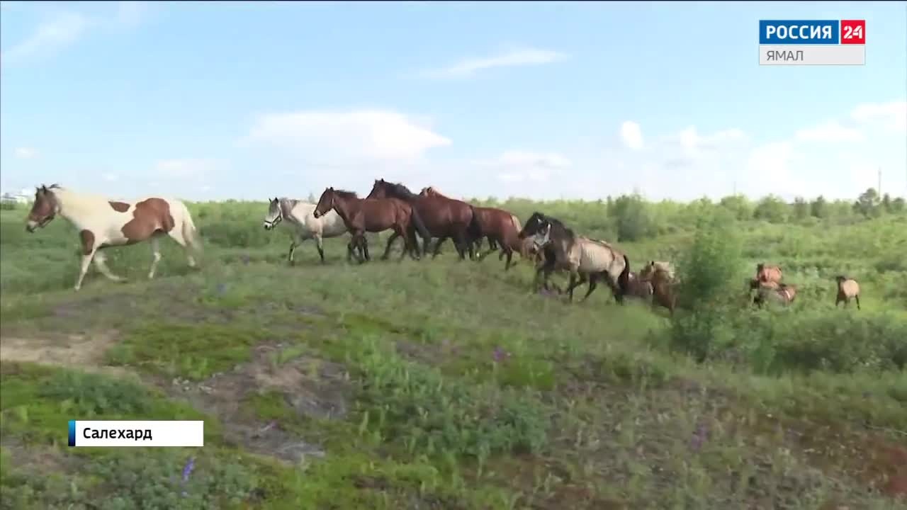 Эфир от 04.08.2024
