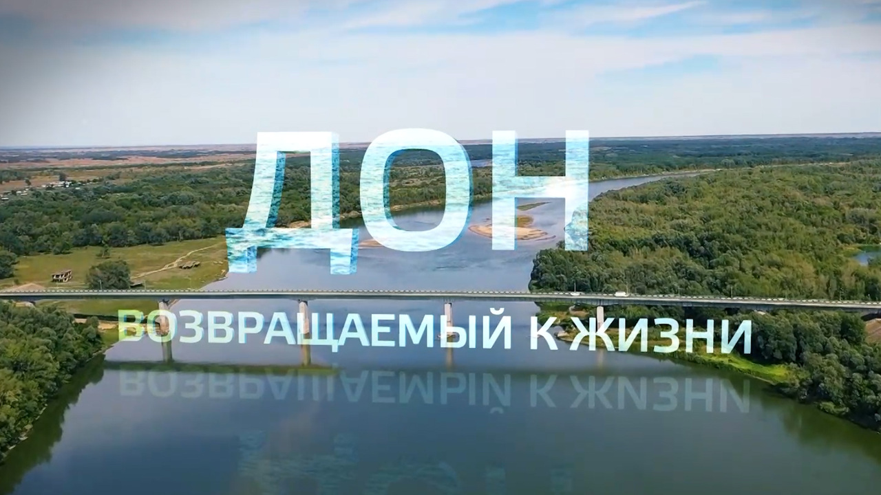 Дон, возвращаемый к жизни