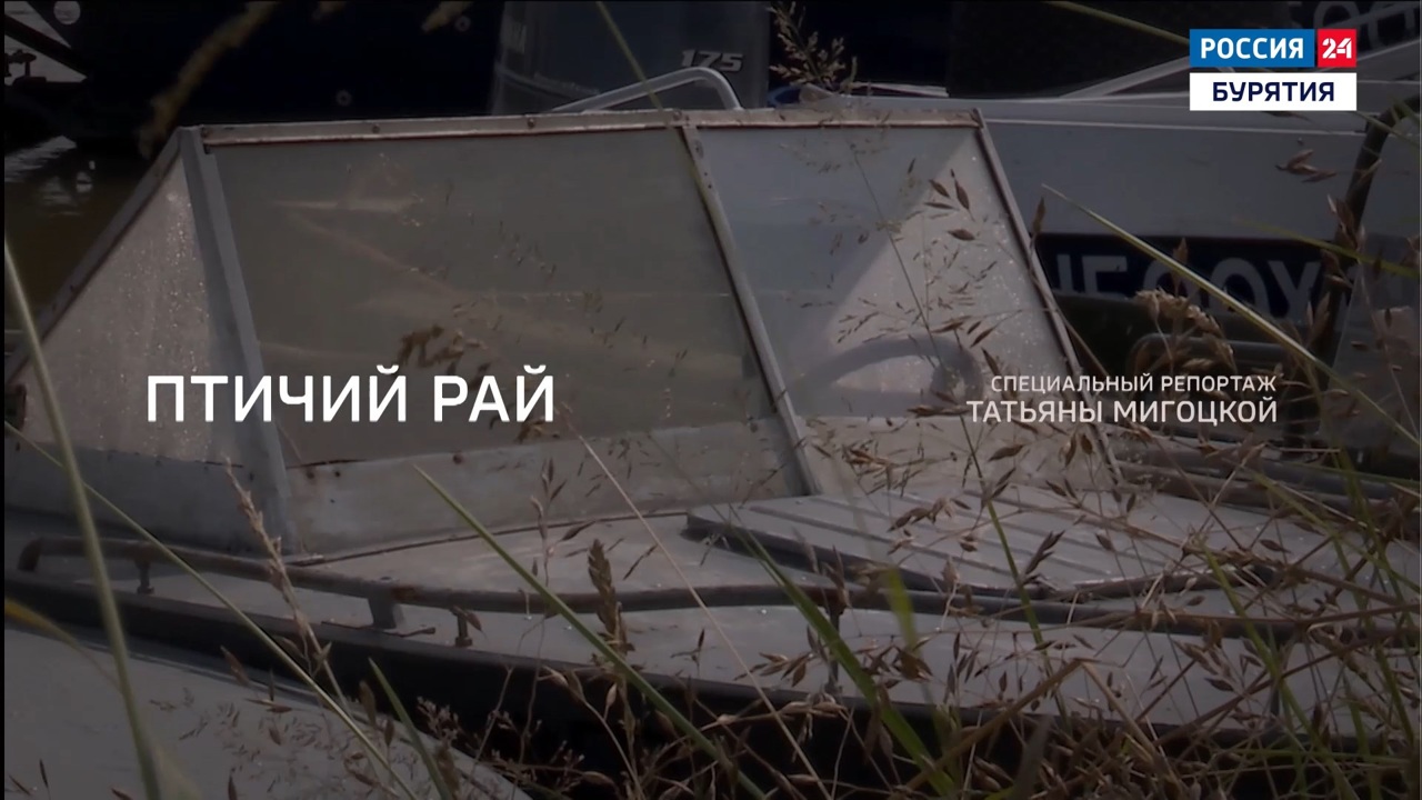 Птичий рай